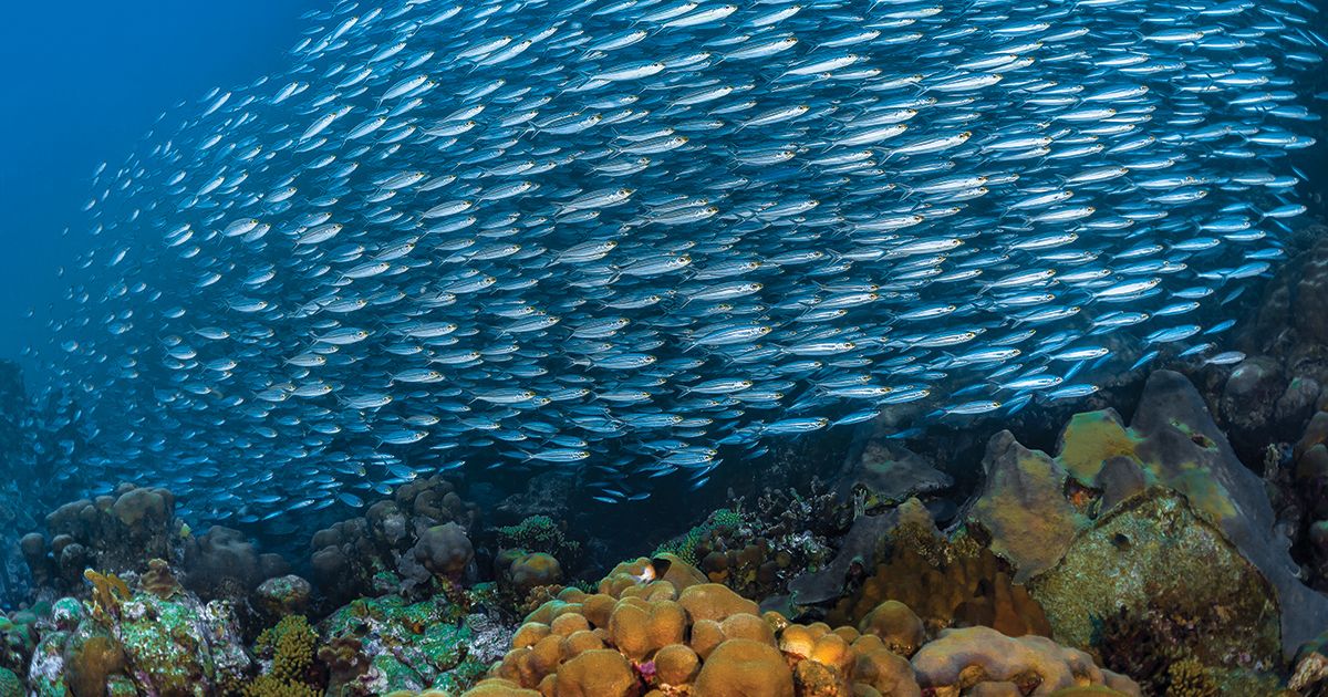 Bonaire