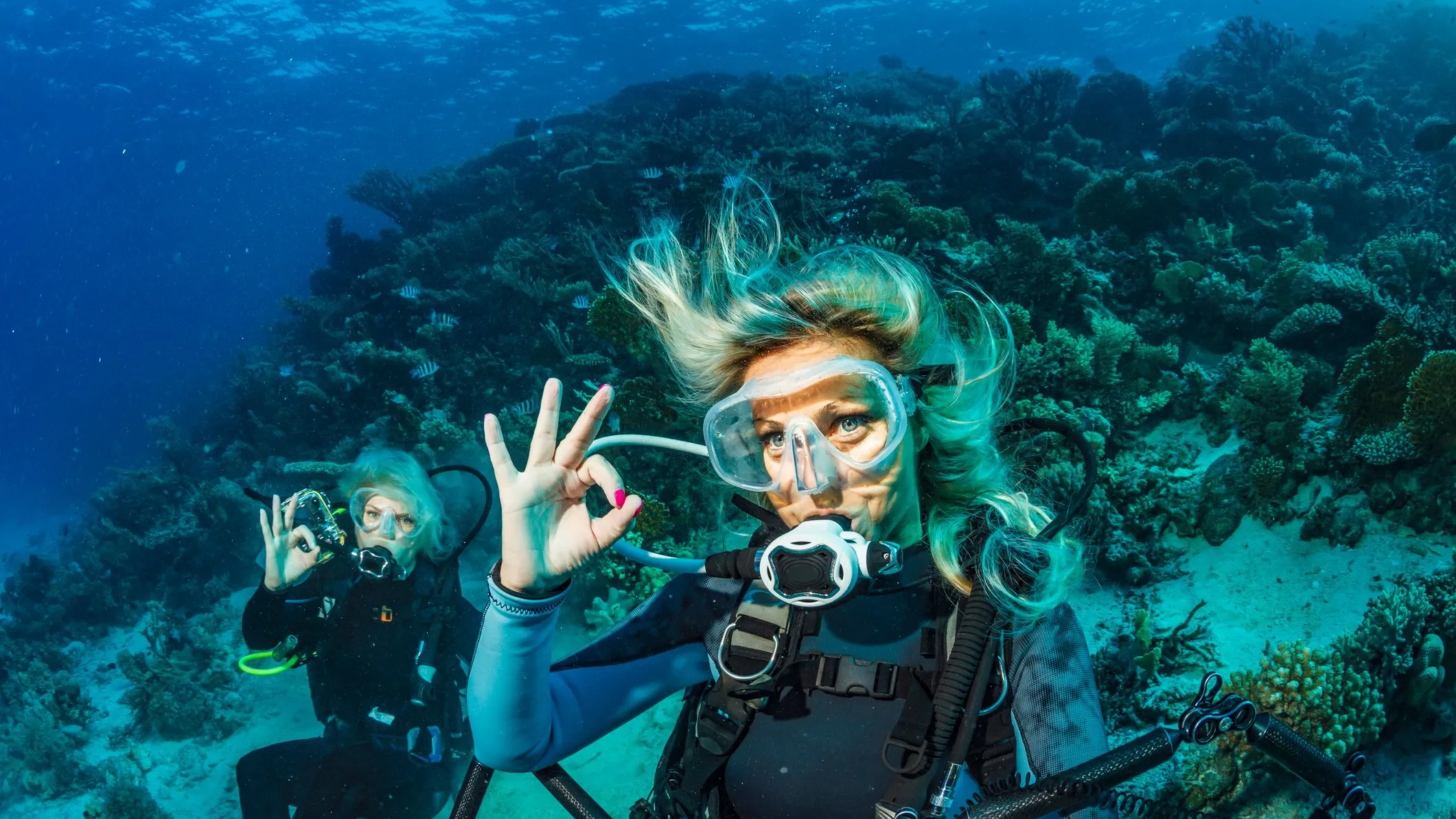 diving-in-caribbean